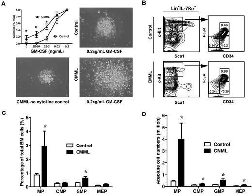 Figure 4. Myeloid progenitors from CMML mice show abnormal growth pattern in semisolid culture. (A) A quantity of 5 × 104 bone marrow cells isolated from CMML mice and control mice were plated in duplicate in semisolid medium with or without GM-CSF. The data are presented as average percentages (from multiple CMML-like and control mice) of maximum number of colonies formed in culture with 0.2 ng/mL of GM-CSF. Photomicrographs (original magnification ×20) showed control and CMML myeloid progenitor colonies grown in different concentrations of GM-CSF. Student t test was performed. Error bars show SDs. Asterisks indicate P < .002. (B) Analysis of myeloid progenitors in bone marrow cells isolated from CMML and control mice. Percentages of myeloid progenitors (IL-7Rα– Lin– Sca1– c-Kit+ cells), common myeloid progenitors (CMPs; FcγRlo/− CD34+), GMPs (FcγRhi CD34+), and megakaryocyte erythroid progenitors (MEPs; FcγRloCD34–) relative to total bone marrow cells are indicated. (C-D) Quantitative analysis of myeloid progenitor compartment in control mice (n = 6) and CMML mice (n = 11). Results are presented as averages + SD. Student t test was performed. Asterisks indicate P < .05.