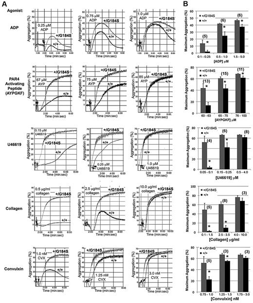 Figure 2. Increased platelet aggregation in platelets from Gi2α(+/G184S) mice. (A) Representative aggregation traces of platelets isolated from Gi2α(+/G184S) mice and matched controls. U46619 is a TxA2 receptor agonist. Convulxin is a snake venom lectin that activates the platelet collagen receptor, glycoprotein VI. (B) Maximum aggregation (%) in response to all studied agonists at dose ranges corresponding to low response, mid-response, and maximal response for the control platelets. All aggregation studies were performed as paired comparisons between platelets obtained from one mouse of each genotype. The total number of replicate observations compared in each category is shown in parentheses in the graph. The number of mouse pairs used for each agonist were 4 (ADP), 6 (AYPGKF), 3 (U46619), 3 (collagen), and 2 (convulxin). *P < .05.