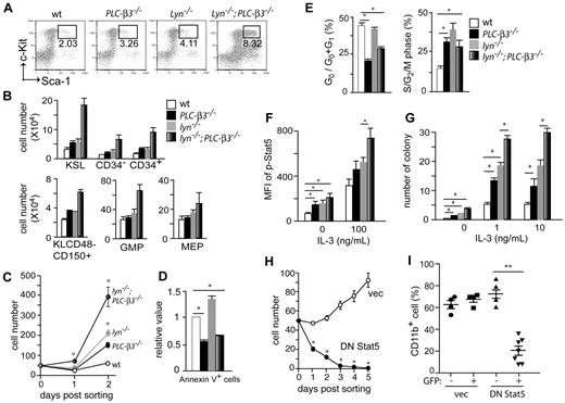 Figure 3. Increased proliferation, decreased apoptosis and MPN-causing ability of lyn−/−;PLC-β3−/− HSCs are due to increased Stat5 activity. (A-B) BM cells were subjected to flow cytometric analysis of HSCs, myeloid, and erythroid progenitors. The absolute number was calculated based on the percentage of KSL cells and other progenitors in total BM cells. Results shown are representative of at least 3 measurements (2-4 months old, n = 12). (C) Sorted CD34−KSL cells (50 cells/well) were cultured in 96-well plates in the presence of IL-3 and SCF. (D) BM cells were stained for Lineage cocktail, c-Kit, Sca-1, and Annexin V, and subjected to flow cytometric analysis. Annexin V+ cells were counted in KSL populations (n = 4). (E) Sorted KSL cells were stained for either Pyronin-Y/Hoechst 33 342 (left) or propidium iodide (PI; right), and analyzed by flow cytometry. (F) BM cells were stimulated with IL-3, and phospho-Stat5 levels were analyzed by flow cytometry. Mean fluorescence intensity (MFI) of Stat5 phosphorylation in KSL cells is presented (n = 6). (G) Sorted CD34−KSL cells were cultured in methylcellulose in the presence or absence of IL-3. Ten days later, the number of colonies (including CFU-G, CFU-M, and CFU-GM) was counted. (H) Sorted CD34−KSL cells from BM of lyn−/−;PLC-β3−/− mice were transduced with a bicistronic retroviral vector encoding DN Stat5 or empty vector, together with GFP. Transduced (GFP+) cells were sorted into 96-well plates (50 cells/well) in the presence of IL-3 and SCF. (I) Sorted CD34−KSL cells from lyn−/−;PLC-β3−/− mice were transduced with DN Stat5 or empty vector and then adoptively transferred (without sorting) to lethally irradiated C57BL/6-Ly5.1 mice. Four months later, CD11b+ donor-derived (Ly5.2+) cells in peripheral blood were analyzed by flow cytometry. Data are mean ± SD, *P < .05, **P < .01.