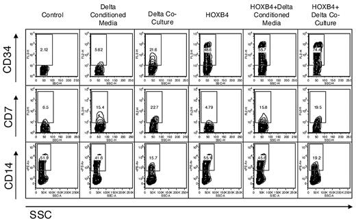 Figure 2. Flow cytometric analysis of CD34, CD7, and CD14 expression on macaque cord blood cells following 2 weeks of culture under different conditions. Data from 1 representative experiment is shown. The highest level of CD34 expression is seen when DL coculture and HOXB4 are used together. Cells cultured in direct contact with DL-expressing OP9 cells show the highest level of CD7 expression; addition of HOXB4 does not appear to affect CD7 expression. Furthermore, cells cultured with DL conditioned media show greater inhibition of myeloid differentiation than control cultures, but not as high as cells cultured in direct contact with DL-expressing OP9 cells.