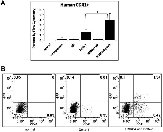 Figure 6. Generation of human CD41+ cells in NOD/SCID mice 12 weeks after transplantation with human cord blood cells cultured in the presence of HOXB4 and DL. Mice transplanted with cells cultured in the presence of DL show increased expression of CD41 megakaryocyte marker. (A) Data from 5 replications is represented as mean ± SD. Each bar represents the mean percent human CD41+ of the 5 mice within that group. *P < .05 (B) Flow cytometric data from 1 representative experiment is shown.