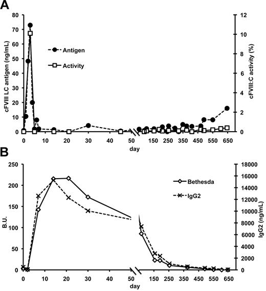 Figure 6. cFVIII expression and anti-cFVIII antibody response in a high-responding hemophilia A dog after AAV-mediated liver expression of cFVIII. A high-responding hemophilia A dog from the Queen's University colony (Wembley) was administered 2.5 × 1013 vg/kg of AAV8-TBG-cFVIII-HC and AAV8-TBG-cFVIII-LC by peripheral venous injection. (A) cFVIII antigen levels were assayed by a cFVIII-LC-specific ELISA, and activity was monitored by FVIII assay. (B) Anti-cFVIII antibody responses were measured by anti-cFVIII IgG2 ELISA and Bethesda assays.