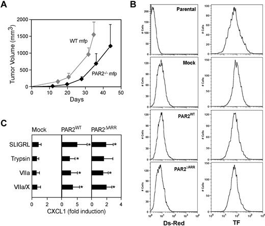 Figure 1. Reconstitution of PAR2 signaling in PAR2−/− PyMT breast cancer cells. (A) Growth properties of PyMT WT and PAR2−/− breast cancer cells after in vivo passage through the mammary fat pad (n = 8 mice/group, representative of at least 2 experiments). (B-C) PyMT PAR2−/− cells were transduced twice with control (Mock), PAR2WT, or PAR2ΔARR retrovirus. (B) Quantification of transduction efficiency was determined by flow cytometry measuring DS-Red fluorescence. PAR2-reconstitution did not change TF cell surface expression. (C) PAR2 reconstitution restores CXCL1 induction by PAR2 agonist SLIGRL (100μM), trypsin (10nM), VIIa (5nM), or the ternary complex (VIIa (5nM), X (50nM), nematode anticoagulant protein c2 (200nM)). Hirudin (200nM) was added to all reactions that included coagulation factors. CXCL1 induction was assessed by quantitative reverse transcription polymerase chain reaction after 90 minutes of stimulation. Means and ± SD, n = 4; * P < .05 different from mock-transduced cells by ANOVA.