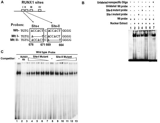 Figure 2. EMSA using Wt oligonucleotide probe with sites I (−676/−671) and II (−669/−664) in MYL9 promoter and nuclear extract from PMA-treated HEL cells. (A) Wt −680/−660 bp) probe and Mt probes containing mutated RUNX1 sites I and II. (B) EMSA using Wt and Mt oligos (lanes 1-7). Lane 1, no extract; lanes 2 and 5, protein binding to Wt probe; lanes 3-4, reduced binding with Mt I and Mt II probes; lane 6, loss of binding by competition with unlabeled Wt probe; lane 7, no loss of binding by competition with nonspecific oligo. (C) Effect of anti-RUNX1 antibody (lanes 1 and 2) and of increasing amounts of unlabeled mutant probes I (lanes 7 to 3) and II (lanes 9 to 13) on protein binding to Wt oligo (−680/−660 bp). lane 1, protein binding to Wt probe; lane 2, loss of binding with anti-RUNX1 antibody. Lane 8 shows binding to Wt probe. Lanes 7 to 3, competition with increasing amounts of site I mutant probe; lanes 9-13, competition with increasing amounts of site II mutant probe. There is decreasing protein binding to Wt probe with increasing amount of either mutant I or mutant II probe, indicating that both sites are involved in protein binding to DNA.