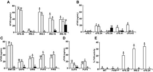 Figure 1. F8 levels in transgenic and post-BMT mice. (A-D) Antigenic levels in platelet lysates (open bars), and releasates (gray bars), and plasma (black bars) were measured. Panels A and B were transgenic mice expressing pF8 studies and panels C and D were BMT/lentiviral pF8 studies. All mice were FVIIInull. Background measurements in FVIIInull mice were subtracted from expressed F8 levels. Mean ± 1 SD are shown. The numbers of animals studied in each arm are shown above each bar. Panel A shows the transgenic IR8 studies and panel B the pcBF8. The highest expressing phBF8 line previously studied phF8.3817 is included as positive control. Panels C and D show similar data for BMT/lentiviral pF8 studies. U indicates studies with the lentivirus driven by the ubiquitin promoter and P indicates studies with the PF4 promoter. BMT38 were FVIIInull mice reconstituted with marrow from the phF8.38 transgenic line as positive control. (E) Activity level of F8 from platelet releasate (open bars) and plasma (gray bars).