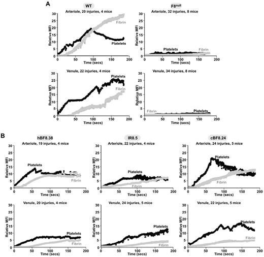 Figure 3. In situ cremaster arteriole and venule studies. Average data for platelet (black) and fibrin (gray) accumulation. The number of injuries and mice studied are shown. (A) WT and F8null mice and (B) transgenic lines phF8.38, pIR8.5 and pcF8.24 on a F8null background were studied.