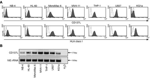 Figure 2. Validated analysis of CD137L expression in AML cell lines. (A) The indicated AML cell lines including THP-1 cells with validated authenticity were analyzed by FACS for CD137L and HLA class I expression using specific mAb (shaded peaks) and isotype control (open peaks). (B) RNA from the cell lines was extracted, reverse transcribed, and investigated for CD137L expression by RT-PCR analysis of equal mRNA levels; 18S rRNA served as control.