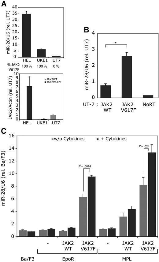 Figure 3. Constitutive signaling by JAK2 V617F induces miR-28 expression. (A) miR-28 relative expression was measured in the HEL and UKE-1 cell lines, which are homozygous for JAK2 V617F and in UT-7 parental cell line, which is negative for JAK2 V617F. The JAK2 V617F and WT expression levels are reported under the histograms. (B) miR-28 relative levels were assessed in UT-7 parental cell line transduced with a bicistronic retrovirus expressing the GFP along with either JAK2 WT or JAK2 V617F and sorted for equivalent GFP levels. *P < .01. (C) Ba/F3 cells were stimulated with 20 ng/mL IL-3 for 3 hours. Ba/F3 EpoR and Ba/F3 TpoR cells coexpressing equivalent JAK2 WT or JAK2 V617F levels (sorted cells) were stimulated for 3 hours with 20 units/mL Epo or 20 ng/mL Tpo, respectively.