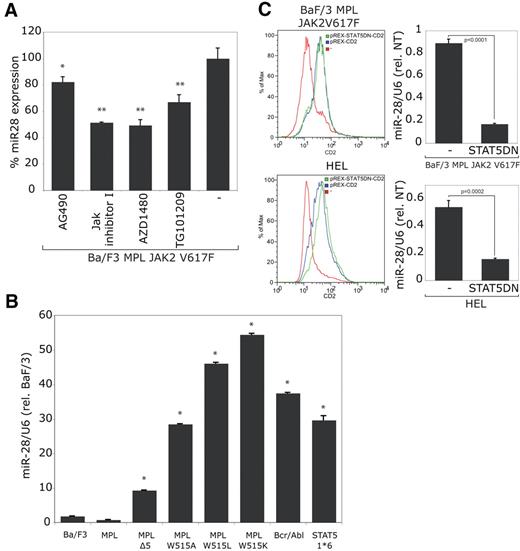 Figure 4. miR-28 is induced by JAK2 V617F, MPL W515 mutants, Bcr/Abl and STAT5 1*6. Ba/F3 cell lines expressing indicated proteins were tested for miR-28 relative expression. (A) JAK2 V617F human TpoR-Ba/F3 cells selected for autonomous growth were treated with the JAK2 inhibitors: AG490 (10μM); JAK Inhibitor I (0.5μM); AZD1480 (3μM), TG101209 (3μM) or vehicle only (-) for 24 hours (*P < .05; **P < .001). Absence of toxicity was demonstrated by Trypan blue staining. (B) Ba/F3 cells expressing the indicated human TpoR mutants, Bcr/Abl or STAT5 1*6 were selected for autonomous growth in absence of cytokines and tested for miR-28 expression (*P < .0001). (C) The indicated cell lines were electroporated either with an empty expression vector expressing the CD2 surface marker (pREX-CD2), or the same bicistronic expression vector coexpressing the STAT5DN (dominant negative) mutant with the CD2 surface marker. Electroporation levels were verified by FACS and the miR-28 expression was quantified by stem-loop qRT-PCR. The presented results are representative of 3 indpendent experiments.