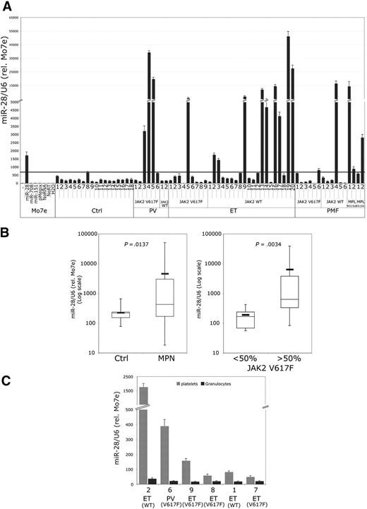 Figure 6. Detection of miR-28 overexpression in platelets from MPN patients. (A) miR-28 relative levels are depicted in phe positive control that is represented by Mo7e cells transduced by the pMegix vector overexpressing miR-28 (± SD quantification done in triplicate). Ctrl indicates control platelets from healthy volunteers; PV, polycythemia vera; ET, essential thrombocythemia; PMF, primary myelofibrosis. Status for JAK2 or MPL mutations is indicated under the histograms. (B) Relative miR-28 levels in control and MPN platelets. Mean miR-28 levels are represented on graphs (P = .014; Mann-Whitney test). Positive JAK2 V617F patients were grouped accordingly to their allele burden (< 50% or > 50% JAK2 V617F) and examined for miR-28 levels (P = .003; Mann-Whitney test). (C) miR-28 relative levels in platelets and granulocytes of the same patient. Patient numbers and normalization of relative miR-28 quantity are the same as in panel A.