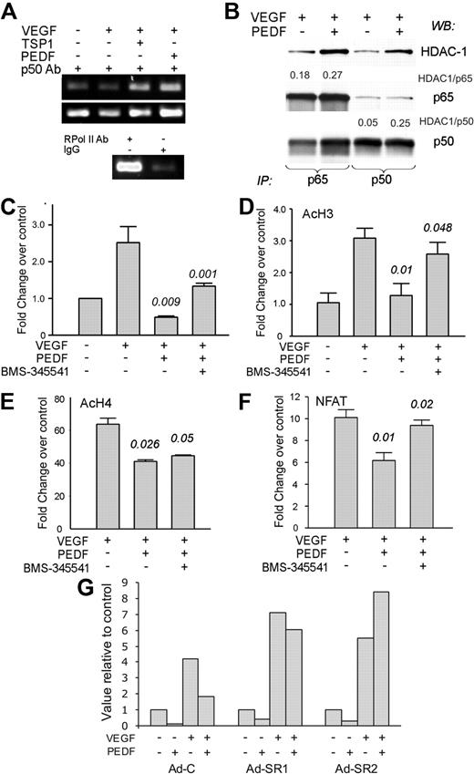 Figure 6. PEDF increases the binding of NF-κB, p300, and histone acetylation while restricting NFAT binding at cFLIP promoter. (A) ChIP analysis of NF-κB binding to the cFLIP promoter: DNA-protein complexes from HMVECS treated as indicated were precipitated with p50 antibody and amplified with primers for the area flanking the κB-binding site. Immunoprecipitation with antibody to RNA polymerase II and IgG served as positive and negative controls, respectively. (B) HMVECs were treated with VEGF plus or minus PEDF, nuclear extracts precipitated with the antibodies for p65 (left) or p50 (right), and analyzed by Western blot for HDAC1, p65 and p50, respectively. The blots were assessed by densitometry and the ratio between HDAC1 and p65 or p50 calculated (see numbers above the panels). A representative of 3 independent experiments is shown. (C) ChIP was performed with p300 antibodies, followed by quantitative PCR with the primers for the same cFLIP promoter fragment as in panel A. (D-E) ChIP was performed with the antibodies for AcH3 (D) and AcH4 (E), followed by quantitative PCR with the same primers. (F) ChIP was performed with the antibodies for NFATc2 and quantitative PCR with the same primer set. Statistical significance was calculated by 1-tailed Student t test. P values reflect the comparisons of VEGF with VEGF plus PEDF and VEGF plus PEDF with VEGF plus PEDF plus BMS, respectively. (G) ECs were infected with AdC or Ad-SR, treated for 4 hours as indicated (1 ng/mL VEGF, 20 ng/mL PEDF), and compared with the untreated control. The results of the 2 independent experiments are shown (Ad-SR1 and Ad-SR2, respectively).