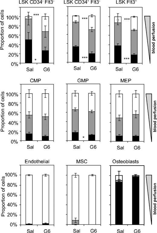 Figure 6. Relocation of HSCs and multipotent progenitors from nonperfused areas to highly perfused areas of the BM during G-CSF–induced mobilization of HSCs. 129SvJ mice were injected twice daily with saline (Sal) or G-CSF (G6) for 6 days. Ten and 5 minutes before tissue sampling, mice were perfused with Ho intravenously. After sampling, BM cells and endosteal cells were isolated and stained in the presence of verapamil and reserpine and analyzed for Ho dye uptake with the use of the previously defined gating strategies. Data show for each cell type the proportion of cells with maximal (Hobright, □), intermediate (Homed, ), and negative (Honeg, ■) Ho dye uptake. Data are mean ± SD of 3 mice for the saline group and 4 mice for the G-CSF group; ***P < .001 and *P < .05.