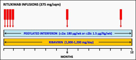 Figure 1. Design of PIRR schedule.