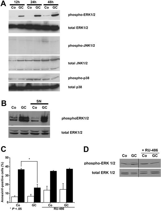 Figure 3. GCs induce phosphorylation of ERK1/2, but not JNK1/2 and p38. Monocytes were stimulated with 100nM DEX (GC) or medium as a control (Co) for 12, 24, and 48 hours. Afterward, cells were lysed, and Western blot analysis was performed with antibodies recognizing phosphorylated and unphosphorylated forms of ERK1/2, JNK1/2, and p38 MAP kinases. The figure shows immunoblots from one of 3 representative experiments (A). Monocytes were stimulated with DEX (GC) and medium as control (Co) or resuspended in conditioned media from control (SN Co) or GC-treated monocytes (SN GC) and cultured for 24 hours. The figure shows immunoblots for analysis of ERK phosphorylation from 1 of 3 representative experiments (B). Monocytes were pretreated for 30′ in the presence of 3μM RU486 before 16 hours stimulation with DEX (GC) or medium as a control (Co). Subsequently, cells were stimulated to undergo apoptosis by STS (■) or left untreated (□). After 6 hours, the proportion of annexin V–positive cells was measured (C). Data show mean ± SEM (n = 3). In parallel, cells were lysed, and immunoblotting was performed using antiphosphorylated and total ERK1/2 antibodies (D). The figure shows immunoblots from 1 of 3 representative experiments.