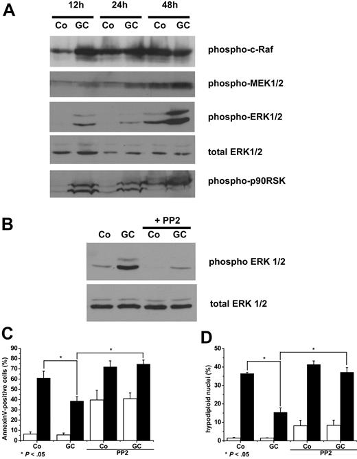 Figure 5. GC induced signaling cascade of ERK1/2. Cells were incubated in the presence of 100nM DEX (GC) or medium (Co) for 12, 24, and 48 hours. Afterward, cells were lysed, and Western blot analysis was performed using antibodies against phosphorylated form of c-Raf, MEK1/2, ERK1/2, p90RSK, and total ERK1/2 (A). Cells were pretreated for 30 minutes in the presence of 10μM PP2, a selective inhibitor of src-family of tyrosine kinases, before stimulation with DEX (GC) or medium as a control (Co). After 16 hours of culture, cells were lysed, and immunoblotting was performed using anti-phospho ERK and total ERK antibodies (B). In parallel, cells were treated with 200nM STS (■) or left intact (□) for 6 hours. Apoptosis was assessed by determination of annexin V–positive cells (C) and cells with fragmented nuclei (D). The blots (A-B) presented are representative of 4 independent experiments. The plots (C-D) show mean ± SEM (n = 4).