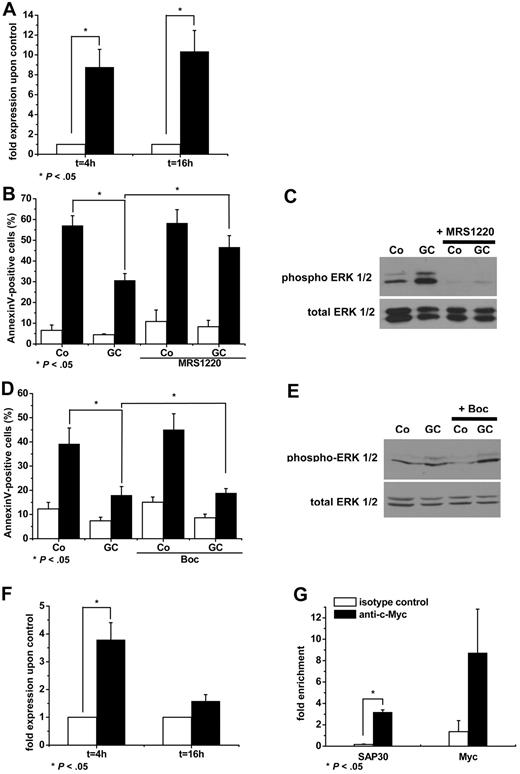 Figure 6. Signaling of A3AR is responsible for GC-induced ERK1/2 phosphorylation and enhanced resistance to apoptosis. Monocytes were stimulated for 4 and 16 hours with 100nM DEX (■) or left untreated (□). Quantitative RT-PCR was performed to confirm the up-regulated expression of A3AR (A). Plots shows relative N-fold regulation ± SEM compared with control monocytes (n = 3). Monocytes were pretreated in the presence of 0.5μM A3AR antagonist MRS1220 for 30 minutes before stimulation with DEX (GC) or medium as control (Co). After 16 hours, cells were stimulated with 200nM STS (■) or left untreated (□). After 6 hours, apoptosis was measured by annexin V staining (B). In parallel, protein levels of phosphorylated and total ERK were determined by Western blot analysis (C). Monocytes were preincubated in the presence of 100μM Boc-FLFLF inhibitor for 30 minutes before 16 hours stimulation with DEX and subsequently challenged to apoptosis induced by STS (■) or left untreated (□). After 6 hours, amounts of apoptotic cells were measured by annexin V staining (D). Data show mean ± SEM (n = 3). Simultaneously, cells were lysed, and immunoblotting was performed using anti-phospho ERK and total ERK antibodies (E). Monocytes were treated for 4 and 16 hours with 100nM DEX. Changes in expression of c-myc were confirmed using qRT-PCR (F). After 16 hours of stimulation with 100nM DEX, ChIP was performed to check c-Myc binding to the promoter of SAP30 and Myc genes, and promoter binding was quantified by PCR (G).
