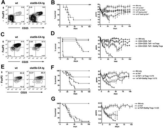 Figure 1. Effect of Stat5b overexpression on CD4 T-cell function in a GVHD model. (A) CD25 and FoxP3 expression of pooled CD4+ T cells purified from LNs of WT (left) and Stat5b-CA TG (right) mice, used for the experiment shown in panel B. (B) Survival and weights of lethally irradiated B10.BR recipients injected with 107 BM (*) and 1 × 106 (▼, ▽) or 3 × 106 (♦, ◇) CD4+ T cells isolated from WT (▼, ♦) or Stat5b-CA TG (▽, ◇) mice. P = .003, ▼ vs ▽. P < .001, ♦ vs ◇. (C) Values are for one experiment; n = 8 mice/group. CD25 and FoxP3 expression of CD4+CD25+ T cells purified from pooled LNs of WT (left) and Stat5b-CA TG (right) mice, used for the experiment shown in panel D. (D) Survival and weights of lethally irradiated bm12 recipient injected with 107 BM (*) and 2 × 106 B6 CD4+CD25− T cells alone (▼) or along with 2 × 106 CD4+CD25+ Tregs isolated from WT (♦) or Stat5b-CA TG (◇) mice. P = .001, ♦ vs ◇. P < .001, ▼ vs ♦ and ◇. Pooled data are from 2 experiments; n = 16 mice/group total. (E) CD25 and FoxP3 expression of purified CD4+CD25+ T cells isolated from pooled LNs of WT (left) and Stat5b-CA TG (right) mice, used for experiment shown in panel F. (F) Survival and weights of lethally irradiated B10.BR recipients injected with 107 BM (*) and 1.5 × 106 B6 CD4+CD25− T cells alone (▼) or along with 1.125 × 106 CD4+CD25+ Tregs isolated from WT (♦) or Stat5b-CA TG (◇) mice. P = .003, ♦ vs ◇. P = .02, ▼ vs ♦. P < .001, ▼ vs ◇. Pooled data are from 2 experiments; n = 16 mice/group total. (G) Survival and weights of lethally irradiated B10.BR recipients injected with 107 BM (*) and 1.5 × 106 B6 CD4+CD25− T cells alone (▼) or along with 0.375 × 106 CD4+CD25+ Tregs isolated from Stat5b-CA TG (◇) mice. P = not significant, ▼ vs ◇. Pooled data are from 2 experiments; n = 16 mice/group total.