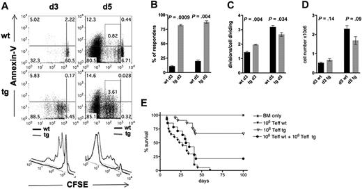 Figure 4. CFSE dilution and annexin V binding of CD4+CD25− T cells isolated from spleens of lethally irradiated B10.BR recipients injected with 107 BM and 5 × 106 CFSE-labeled CD4+CD25+ T cells from WT or Stat5b-CA TG mice. (A) Splenocytes were isolated on day 3 (left) and day 5 (right) after transplantation, and donor H-2Kb+CD4+ T cells were analyzed for CFSE dilution (illustrated in top and bottom panels) and annexin V (illustrated in top panels) expression. Representative flow cytometry data from one of 6 mice/group from 2 separate experiments are shown. Responder frequency (B) and proliferation index (C) were calculated. (D) Total cell numbers harvested from spleen on day 3 and day 5 from recipients described in panel A. (E) Survival of lethally irradiated B10.BR recipients of 107 BM (*) and 1 × 106 B6 CD4+CD25− T cells isolated from WT (▼) or Stat5b-CA TG (▽) mice or a mixture of both (●). P = not significant for ▼ vs ●. P < .01, ▼ and ● vs ▽. Pooled data are from 2 experiments; n = 16 mice/group total.