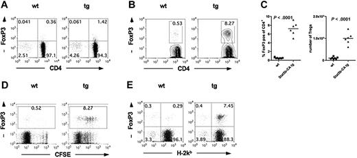 Figure 5. Stat5b-CA TG expression supports Treg proliferation after transplantation into allogeneic hosts. (A) CD4 and FoxP3 expression of purified CD4+CD25− T cells isolated from lymph nodes of WT (left) and Stat5b-CA TG (right) mice. Pooled data are from the experiment shown in panel B; n = 10/group. (B) Lethally irradiated B10.BR recipients were injected with 107 BM cells and 5 × 106 CFSE-labeled CD4+CD25− T cells from WT or Stat5b-CA TG mice. (B-C) Splenocytes were isolated on day 5 after transplantation, and the percentage and absolute number of CD4+H-2Kb+FoxP3+ WT and Stat5b-CA TG T cells were determined. P values are as indicated. (D) The CFSE dilution profile was determined. (E) The percentage host (H-2Kb−CD4+FoxP3+) and percentage donor (H-2Kb+CD4+FoxP3+) T cells were analyzed. (B-E) Representative data from one mouse or pooled data from 2 independent experiments of 6 or 7 mice/group total are shown.