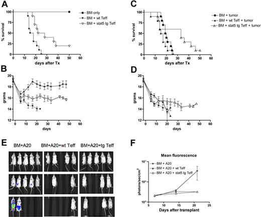 Figure 7. Lethally irradiated B10.BR recipients were injected with 107 BM (*) and 1 × 106 CD4+CD25− T cells from WT (▼) or Stat5b-CA TG (●) mice. Mice were not challenged with A20 lymphoma cells and were monitored exclusively for GVHD lethality (A) and weights (B). Other cohorts of mice treated as in panel A also were given 105 A20 lymphoma cells on day 0 of BMT and were then monitored for survival (C) and weights (D). P values are as indicated. Data are from 1 experiment with 10 mice per group. Separate cohorts of mice were analyzed for bioluminescent imaging on days 7, 14, and 21. Data shown are the bioluminescence emissions (E) and the quantification of bioluminescence based on photons/sec/cm2 emission (y-axis) and days after BMT (x-axis; F). The SD of the mean is also shown.