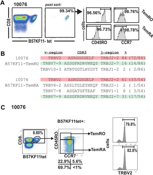 Figure 2. Analysis of effector-memory clonotype composition on HIV-specific effector-memory subsets. (A) Purification of B57-KF11 tetramer+ CD8+ T cells based on the expression of CCR7 and CD45RO in subject 10076. (B) Sequence analysis of the purified Tmem populations. (C) Analysis of the CCR7/CD45RO expression on B57-KF11 tetramer+ CD8+ T-cell expression TRBV2.