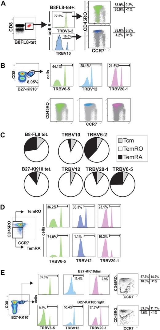 Figure 4. Selective expansions of distinct HIV-epitope–specific clonotypes into terminally differentiated effector-memory phenotypes (CCR7−/CD45RA+) and association of B27-KK10 tetramer binding with expression of distinct clonotypes and effector-memory differentiation. (A) Analysis of the TRBV populations representing single clonotypes of B8-FL8 tetramer+ cells by flow cytometry. (B) TRBV usage of distinct clonotypes and CCR7/CD45RO expression on B27-KK10 tetramer cells in subject 10022. (C) Pie charts comparing the relative T-cell memory distribution of B8-FL8+ and B27-KK10+ clonotypes identified by TRBV expression in subject 10022. (D) Frequency of clonotypes within the B27-KK10 tetramer+ population in subject 10022. (E) TRBV usage and CCR7/CD45RO expression on B27-KK10 tetramer dim and bright cells in subject 10022.