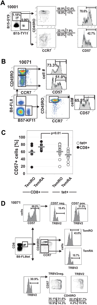 Figure 5. Differential CD57 expression on HIV-1-tetramer+ CD8+ T-cell memory subsets. (A) CD57 expression on 2 HIV-epitope specific CD8+ T-cell responses in subject 10001. (B) Lower expression of CD57 on human leukocyte antigen B8-FL8+ TemRA phenotype cells compared with TemRO phenotype cells in subject 10071. (C) Summary of CD57 expression on different memory populations on total CD8+ T cells and HIV-specific CD8+ T cells. (D) Distribution of CD57 on different memory subsets on TRBV+ and TRBV− HIV-specific CD8+ T cells in subject 10071.
