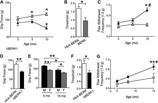 Figure 1. BERK and hBERK1 mice show deep tissue and mechanical hyperalgesia. All data are shown as mean ± SEM from 4 to 6 mice with 3 observations per mouse. Measurements were made on each mouse on 3 consecutive days. (A) Grip force measurements from age-matched BERK (▲) and HbA-BERK (▵) mice. A lower grip force indicates increased deep tissue hyperalgesia. *P < .05 versus age-matched BERK. #P < .01 versus 3-month-old BERK. (B) Paw withdrawal threshold (50%) to von Frey monofilaments in 10-month-old BERK and HbA-BERK mice. *P < .05. (C) PWF with a von Frey monofilament in BERK (▲) and age-matched HbA-BERK (▵). A higher PWF indicates increased nociception. *P < .05 versus age-matched HbA-BERK. #P < .01 versus 3-month-old BERK. (D) Grip force measurements from 12-month-old male hBERK1 mice compared with age- and sex-matched HbA-BERK mice. A lower grip force indicates increased deep tissue hyperalgesia. **P < .01. (E) Effect of age and sex on grip force in hBERK1 mice (M indicates male; F, female). *P < .05, **P < .01 between the indicated conditions. (F) Paw withdrawal threshold (50%) using von Frey monofilaments in 9- to 10-month-old female hBERK1 mice compared with age- and sex-matched HbA-BERK mice. A lower threshold is indicative of increased sensitivity to nociceptive stimuli. *P < .05. (G) PWF with von Frey monofilaments in male hBERK1 mice (■) compared with HbA-BERK mice (□) at different ages. A higher PWF reflects increased nociception. **P < .01, significant differences (15-month vs 5-month hBERK1). #P < .01, significant differences (15-month hBERK1 vs 15-month HbA-BERK).