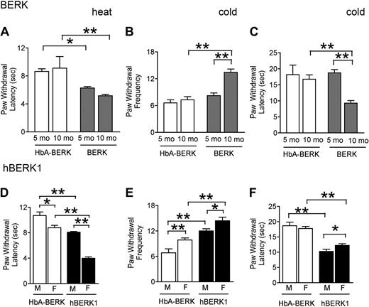 Figure 2. BERK and hBERK1 mice show increased heat and cold hyperalgesia. PWL after application of a heat stimulus (A,D) and nocifensive behaviors on a cold plate at 4 ± 1°C (B-C,E-F) were recorded for each mouse. Shorter PWL (in seconds) in response to heat stimulus is indicative of increased thermal hyperalgesia. A higher PWF in a 2-minute period and lower PWL on a cold plate are indicative of increased sensitivity to cold-induced nociception. Data are the mean ± SEM from 4 to 6 mice with 3 observations per mouse. Significance of differences between the indicated conditions in each panel: *P < .05, **P < .01. (A) PWL after a heat stimulus in age- and sex-matched BERK and HbA-BERK mice. (B) PWF on a cold plate in age- and sex-matched BERK and HbA-BERK mice. (C) PWL on a cold plate in age- and sex-matched BERK and HbA-BERK mice. (D) PWL after a heat stimulus in 9-month-old hBERK1 and age-matched HbA-BERK mice. (E-F) PWF (E) and PWL (F) on a cold plate in 15-month-old hBERK1 and age-matched HbA-BERK mice. M indicates male; F, female.
