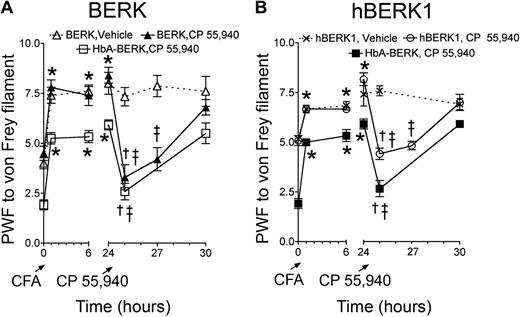Figure 4. Local application of CP 55940 reduces CFA-induced pain in BERK and hBERK1 mice. PWF was assessed by the application of 1.0 g of von Frey filament in 10-month-old BERK (A) and 8-month-old male hBERK1 (B) mice and age- and sex-matched HbA-BERK mice. PWFs were recorded before and for 24 hours after injecting 10 μg (in 10 μL) of CFA. Then, 10 μg (in 10 μL) of CP 55940 or vehicle was injected in the same hind paw, and PWF recorded over another 6 hours. Data are shown as mean ± SEM from 4 mice with 3 observations per mouse. Significance of differences: In panel A: *P < .05, after CFA versus baseline (before CFA); †P < .01, immediately before versus after administration of CP 55940; ‡P < .01, CP 55940 versus vehicle at the same time point. In panel B: *P < .01, after CFA versus baseline (before CFA); †P < .01, CP 55940 versus vehicle at the same time point; ‡P < .01, immediately before versus after administration of CP 55940.