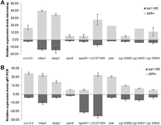 Figure 2. Quantitative RT-PCR validation of novel genes downstream of Spi1 identified in microarray data. (A) Relative expression levels in microarray. Values are mean ± SEM of all oligos for each gene present on the array. (B) Relative expression levels in quantitative RT-PCR. For normalization, peptidylprolyl isomerase A-like (ppial), which showed no changes over the mRNA samples used, was taken as reference. Results were analyzed using the ΔΔCt method. Gene expression values for spi1 MO (morpholino)-injected group were calculated relative to the phenol red-injected control group, whereas values for GFP+ cells were calculated relative to values of the GFP− cell fraction. Values of quantitative RT-PCR data are the mean ± SEM of 2 or 3 biologic replicates.