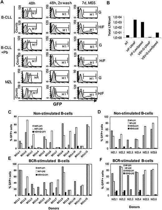 Figure 1. HF-LVs are highly superior for transduction of cancer B cells as compared with VSV-G-LVs. (A) Isolated chronic lymphocytic leukemia B cells (B-CLL) or peripheral marginal zone lymphoma B cells (MZL) were transduced with 100 μL of concentrated VSV-G-LV (MOI 300) or H/F-LV (MOI 3) viral supernatant. Both vectors were titrated on 293T cells. Vectors were concentrated by ultrafiltration-centrifugation as described in Hazan-Halevy et al.1 For the B-CLL donor cells, transductions were performed in parallel in the presence of polybrene (Pb; 10 ng/mL). At 48 hours upon transduction, cells were evaluated for green fluorescence by fluorescence-activated cell sorting (FACS) analysis without washing (48 hours) or followed by 2 subsequent washes with phosphate-buffered saline before FACS analysis (48 hours, 2× wash). Additionally, at 48 hours of transduction, part of the B cells were washed and were maintained on MS5 stromal cells in RPMI medium supplemented with 10% fetal calf serum, IL-2, and IL-15 to confirm stable transduction. At 7 days upon culture, the cells were harvested, passed through a mesh, and stained with anti-CD19APC. Cells were then evaluated for GFP expression by FACS analysis (MS5, 7 days). Data are representative of 3 different donors. (B) Transduction of MZL cells was performed with concentrated H/F- or VSV-G-LVs as mentioned. Two different concentration methods were used: (1) low-speed concentration (3000g, 4°C overnight, 100× concentration) or (2) ultrafiltration-centrifugation (UltraF) as performed by Hazan-Halevy et al.1 For VSV-G- and HF-LV transductions, cells were harvested at 48 hours and total levels of reverse transcribed proviral DNA (total LTR/cell) were determined by quantitative polymerase chain reaction (see “Methods” in Frecha et al3). Freshly isolated, nonstimulated B cells of different B-CLL (C) and MZL (D) donors were transduced with 2 different preparations of H/F-LVs (MOI 5, HF-LV1 and HF-LV2, low-speed concentration) or with VSV-G-LVs (MOI 50, VSV-G-LV1, VSV-G-LV2, low-speed concentration) for 48 hours. Cells were washed subsequently and maintained in culture on MS5 stromal cells in RPMI supplemented with 10% fetal calf serum, IL-2, and IL-15 for 5 more days before FACS analysis was performed as in panel A. (E-F) The same transduction protocols as described for panels C and D were applied on B-CLL and MZL cells prestimulated for 48 hours with Staphylococcus aureus Cowen and IL-2 (10 ng/mL). Note that for non- and BCR-stimulated MZL-3 cells, transduction was performed with only the H/F-LV1 vector preparation. Similarly, prestimulated B-CLL-4 and B-CLL-10 cells were transduced with only H/F-LV1. FACS analysis was performed 2 days after transduction followed by 5 days of culture on MS5 cells to allow evaluation of stable transduction.