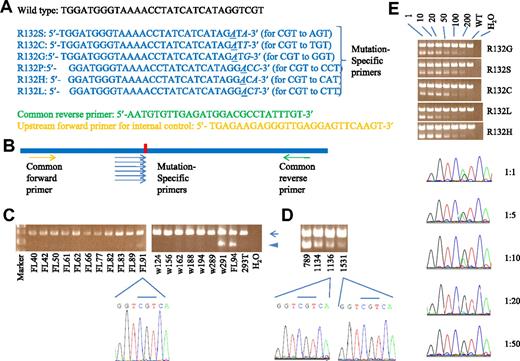Figure 1. A multiplex, allele-specific PCR for rapid and sensitive screening of IDH1 R132 mutations. (A) The sequences of the primers. The 3rd last nucleotide was intentionally mutated to avoid background signals (italic and underlined). The last nucleotide matches only to mutant but not wild-type sequences (italic). Wild-type sequence was shown for reference. (B) Schematic representation of our multiplex, allele-specific PCR strategy. The red vertical bar represents the site of R132 mutation. (C) Multiplex PCR on genomic DNA from bone marrow cell of AML patients. The top band (arrow) indicated an internal control band. The bottom band (arrowhead) represented the mutant signal. Samples w291 and FL94 were positive for IDH1 mutation in both sequencing and multiplex methods. FL91 was negative by sequencing but yielded a mutant band in multiplex PCR. 293T represented a complex genomic DNA from this cell line without IDH1 mutation and served as a negative control. Results from other samples were not shown. (D) Mutant signals were evident in samples 789 (UPN 789, at diagnosis), 1134, 1136 (2 samples from this relapsed patient), and 1531 (a sample from another relapsed patient) by multiplex PCR, but sequencing did not reveal mutation in the samples 1136 and 1531. (E) Mutant bands could be seen in patients' DNA diluted with 293T genomic DNA up to 200-fold (top panel). On the other hand, the mutant signal was barely seen in direct sequencing at 20-fold dilution (bottom panel). In our previous report, only 5 types of IDH1 mutation were seen (no R132P).1 (Top panel) One, 10, and 200 mean dilution fold of mutant genomic DNA with 293T DNA. WT indicates 293T genomic DNA alone.
