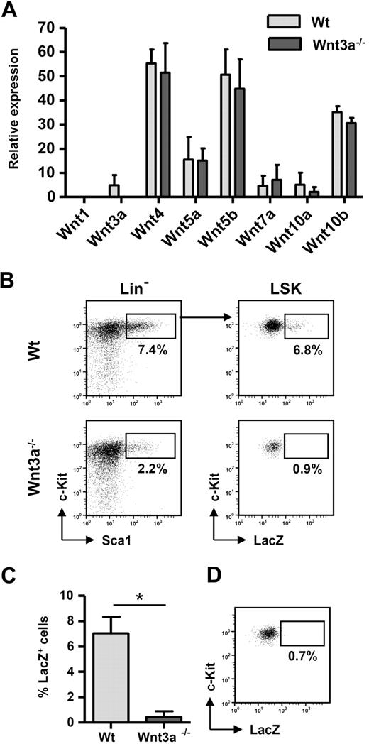 Figure 1. Wnt3a plays a nonredundant role in the regulation of FL HSC function. (A) Fresh wild-type or Wnt3a−/− FLs were isolated and Ter119+ erythrocytes were depleted before mRNA isolation. Gene expression was analyzed by quantitative polymerase chain reaction for the indicated Wnt genes and expression levels normalized for GAPDH using established primer/probe sets. Results correspond to mean ± SEM of 2 independent experiments. In each experiment a pool of 4 to 8 fetal livers from each genotype was used. Measurements were performed in duplicate for each sample. ND indicates not detectable. Fetal thymic lobes and fetal brain were used as positive controls for all genes analyzed. (B) Canonical Wnt signaling is completely abolished in HSCs from Wnt3a−/− embryos. Wnt3a mice were crossed with Bat-Gal Wnt reporter mice in which a LacZ cassette is under control of Tcf/Lef-binding motifs, resulting in LacZ expression when the pathway is activated. Activation of the pathway was determined by LacZ staining on individual FLs from Bat-GalTg/+ wild-type or Wnt3a−/− littermate embryos. LacZ expression was analyzed by flow cytometry4 on electronically gated LSK cells. (C) Frequency of LacZ+ cells inside LSK population. Results correspond to mean ± SEM of 2 independent experiments with 2 wild-type and 1 Wnt3a−/− littermate embryos each. *P = .03. (D) Littermate wild-type embryos not carrying the reporter transgene were used as negative controls to determine the background staining of LacZ.
