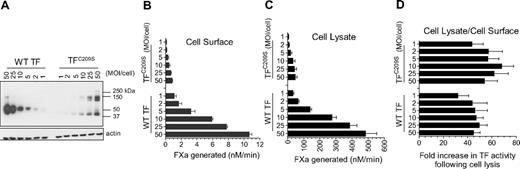 Figure 1. TFC209S disulfide mutant can be decrypted similar to the wild-type TF. Human umbilical vein endothelial cells cultured in 24-well plate were transduced with varying concentrations (MOI/cell) of adenovirus encoding wild-type (WT) TF or TFC209S. (A) After culturing cells for 48 hours, the cell lysates were harvested, subjected to nonreducing sodium dodecyl sulfate–polyacrylamide gel electrophoresis, and immunoblotted for TF using polyclonal anti-TF antibodies. (B) Intact cell monolayers were used to measure cell-surface TF activity by measuring the rate of factor Xa generation after addition of FVIIa (10nM) and factor X (175nM). (C) Cell lysates were made by repeated (3×) freeze-thaw of cell monolayers and diluted 10× before they were used to measure TF activity as in Figure 1B. (D). Fold increase in TF activity upon cell lysis was calculated by the rate of FXa generation in cell lysates divided by the rate of FXa generation at the cell surface. Note: In these experiments, unlike the data shown in our recent report,1 we have not quantified the levels of TF or TF-FVIIa complexes at the cell surface; therefore, one should not extrapolate these data to TF-specific activity.