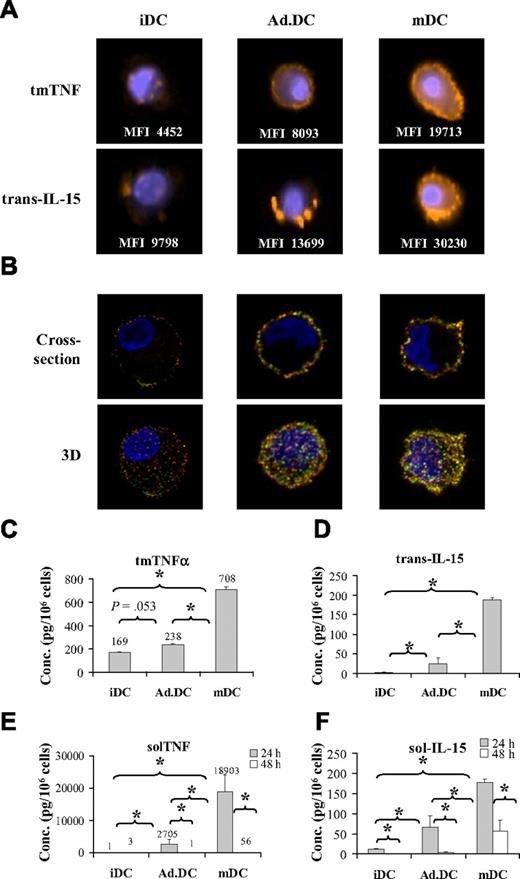 Figure 4. Ad.DCs and mDCs express tmTNF and trans-IL-15. (A) tmTNF and trans-IL-15 expression by iDCs, Ad.DCs (500 MOI), and mDCs was analyzed by imaging flow cytometry. Images show examples of individual cells, and the MFI values listed are averaged for the population of 10 000 cells. (B) Topography of tmTNF and trans-IL-15 expression on iDCs, Ad.DCs, and mDCs was examined with confocal microscopy. (Top panels) Optical cross-sections. (Bottom panels) Reconstructed (3-dimensional) images of 10 0.4-μm-thick optical sections. (A-B) Results are representative of 3 experiments. Lysates of 24 hours (C-D) and supernatants of 24 hours and 48 hours (E-F) cultured iDCs, Ad.DCs, and mDCs were tested for cell-associated (plasma membrane-bound) and soluble TNF and IL-15 by ELISA and cytokine multiplex assays, respectively. (B,D) TNF data are mean ± SEM (pg/mL) of 7 independent experiments. (C,E) IL-15 data are mean ± SEM (pg/mL) of 3 independent experiments. *P < .05.