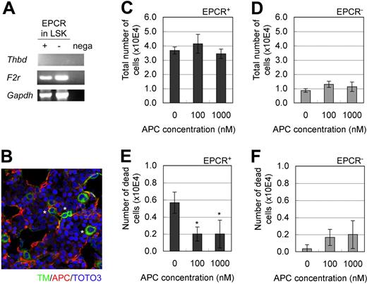 Figure 3. Involvement of the APC/EPCR/Par-1 pathway in the maintenance of EPCR+ HSCs. (A) Both LSK/EPCR+ and LSK/EPCR− cells expressed the mRNA of Par-1 (F2r), but not of TM (Thbd). (B) In E12.5 mouse FL, TM-expressing cells (green) shown at asterisk and APC formation (red) were visualized using immunohistochemistry. (C-F) LSK/EPCR+ or LSK/EPCR− cells were cultured for 2 days in the presence of APC supplementation. The APC supplement did not affect cell proliferation in either LSK/EPCR+ or LSK/EPCR− cells (C-D); however, it significantly suppressed the number of dead cells among the LSK/EPCR+ population (E). Error bars represent SD (n = 3). *P < .05.