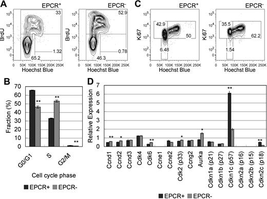 Figure 5. Cell-cycle and mRNA expression analyses in EPCR+ HSCs. (A) E12.5 pregnant mice were exposed to BrdU for 2 hours, and embryos were subsequently analyzed for cell-cycle status. The majority of cells in the LSK/EPCR+ population was in the G0/G1 phase (left) and its frequency was significantly higher compared with the LSK/EPCR− population (right). In contrast, roughly half of the cells in the LSK/EPCR− population were in the S phase (right). (B) Fractions corresponding to each cell-cycle phase were analyzed using the BrdU-Hoechst flow cytometric approach described in panel A. The LSK/EPCR+ (dark gray bars) and LSK/EPCR− (light gray bars) populations are shown. Error bars represent SD (n = 3). **P < .01. (C) The LSK/EPCR+ population contained a greater number of cells in the G0 phase than the LSK/EPCR− population, as assessed by Ki67-Hoechst flow cytometry. (D) Cell-cycle–related mRNA expression profile in LSK/EPCR+ and LSK/EPCR− cells, as assessed using a high-throughput quantitative RT-PCR system. LSK/EPCR+ cells expressed significantly higher levels of CDK inhibitors, such as p57 and p18, whereas LSK/EPCR− cells overexpressed CDKs such as Ccnd1, Ccnd2, Cdk6, Cdk2, and Aurka. The LSK/EPCR+ () and LSK/EPCR− () populations are shown. Error bars represent SD (n = 3). *P < .05, **P < .01.