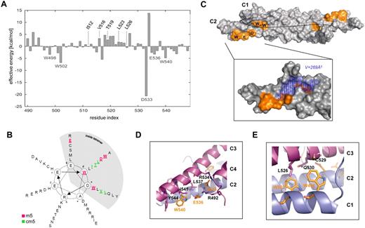 Figure 1. Molecular dynamics simulation and free energy decomposition of the NHR2 tetramer. (A) MM-GB/SA calculations combined with free energy decomposition were used to determine the contribution of each amino acid within NHR2 to tetramer stabilization. Residues are numbered according to the RUNX1/ETO amino acid sequence. (B) Helical wheel representation of the NHR2 domain showing the positions of the m5 and cm5 residues. (C) NHR2 dimer showing the hot spot generated by residues W498, W502, D533, E536, and W540. The dotted line represents the border between the 2 antiparallel α-helices C1 and C2. The blue dots mark the location of the largest indentation found in the binding epitope. (D) Intermolecular contacts involving W540, D533, and E536. (E) Intermolecular contacts involving W502 and W498.