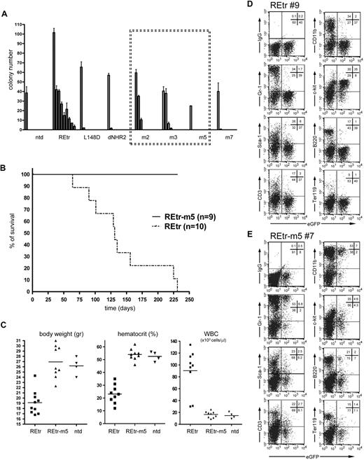 Figure 5. RUNX1/ETOtr dimers lost replating capacity and in vivo leukemogenic function. (A) Replating potential of murine lin-depleted bone marrow cells expressing the indicated RUNX1/ETOtr (REtr) forms. Serial replating of bone marrow cells was performed in the presence of IL-3, IL-6, and stem cell factor. (B) Kaplan-Meier survival curves of C57/BL6 mice transplanted with lin-depleted bone marrow cells transduced with either REtr or REtr-m5. (C) Body weight, hematocrit, and white blood cell counts of mice transplanted with nontransduced or lin-depleted cells expressing either REtr or REtr. (D) FACS analysis of bone marrow cells obtained from a mouse transplanted with REtr-transduced cells. (E) Similar to panel D, but transplanted with REtr-m5 expressing cells. The percentage of cells in each quadrant is indicated.