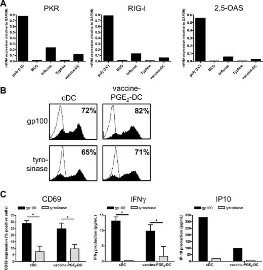 Figure 7. Vaccine-PGE2 DCs do not express viral sensors and effector molecules and express and present tumor antigens after mRNA electroporation. (A) DCs were matured for 48 hours with the conventional cytokine cocktail (cDCs), combined vaccines (BCG, Typhim, and Influvac; vaccine DCs), poly(I:C), or with separate preventive vaccines. mRNA levels of PKR, RIG-I, and 2,5-OAS were determined using quantitative PCR 48 hours after maturation. (B) DCs were matured for 48 hours with the conventional cytokine cocktail or combined vaccines (BCG, Typhim, and Influvac; vaccine DCs) with PGE2. DCs were electroporated with mRNA encoding gp100 or tyrosinase. After 4 hours, gp100 or tyrosinase protein expression was determined by FACS analysis. Filled curves represent staining with specific antibody; and thin-lined curves represent the isotype control. Numbers indicate percentage of cells expressing the antigen. Data are a representative experiment of 3 performed. Average antigen expression (mean ± SEM) of 3 experiments was 73 ± 7 for gp100 and 76 ± 3 for tyrosinase on vaccine PGE2 DCs, and 65 ± 7 for gp100 and 73 ± 4 for tyrosinase on cDCs. (C) A total of 50 000 gp100:280-specific CD8+ T cells were coincubated with 7000 cDCs or vaccine PGE2 DCs 4 hours after electroporation with gp100 mRNA or tyrosinase mRNA as a control, and T-cell activation was analyzed by measurement of CD69 surface expression (left), IFN-γ production (middle), and IP-10 production (right). Data are mean ± SEM of 1 representative experiment of 3 performed in triplicate (CD69 and IFN-γ) or 1 representative experiment (IP-10). *P < .05.
