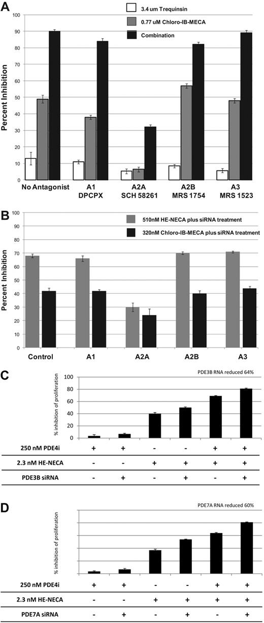 Figure 2. Chemical and molecular genetic validation of the adenosine receptor subtype A2A, PDE3B and PDE7A as a novel drug targets for multiple myeloma. (A) MM.1S cells were incubated with 3.4μM trequinsin, 0.77μM Chloro-IB-MECA, or both drugs in the absence or presence of 89nM DPCPX (A1 antagonist), 78nM SCH 58261 (A2A antagonist), 89nM MRS 1754 (A2B antagonist), and 87nM MRS 1523 (A3 antagonist). Cells were seeded in wells of a 384-well plate, incubated with drugs for 72 hours, and effects on proliferation determined using ATP lite. (B) MM.1R cells were electroporated with 50nM control siRNA (siCON) or siRNA targeting the A1, A2A, A2B, or A3 adenosine receptor. Forty-eight hours later, cells were exposed to 510nM HE-NECA or 320nM Chloro-IB-MECA and incubated an additional 72 hours before the addition of ATP lite. At the time of drug addition, as determined by reverse transcription–PCR, target RNA knockdown was 88% for the adenosine A1 receptor, 76% for A2A, 37% for A2B, and 62% for the A3 adenosine receptor subtype. The results are from experiments performed in duplicate. MM.1R cells were electroporated with control siRNA (siCON) or siRNA targeting (C) PDE3B or (D) PDE7A. Cells not receiving PDE siRNA were electroporated with the control siRNA siCON. Forty-eight hours postelectroporation, cells were seeded in 384-well plates, treated with 250nM roflumilast (PDE4i), 2.3nM HE-NECA (A2A agonist), or the combination of both drugs and incubated an additional 72 hours followed by the addition of ATP lite. As determined by RT-PCR, at the time of drug addition, target RNA knockdown was 64% for PDE3B and 60% for PDE7A. All results are from experiments performed in duplicate.