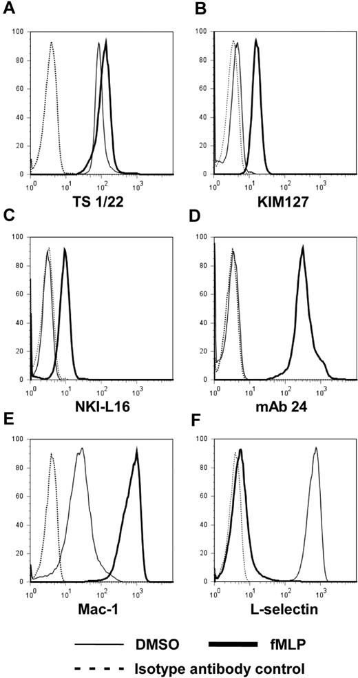 Figure 3. Induction of LFA-1 activation epitopes by fMLP. Whole blood neutrophils were stained with the pan-LFA-1 mAb TS1-22 (A), the LFA-1 extension reporter mAbs KIM127 (B), or NKI-L16 (C), or the high affinity reporter mAb 24 (D) with or without the fMLP stimulation for 5 minutes. Whole blood neutrophils were stained with anti–Mac-1 antibody (E) or anti–L-selectin antibody (F) before or after fMLP stimulation for 10 minutes. Data are representative of at least 10 independent experiments.
