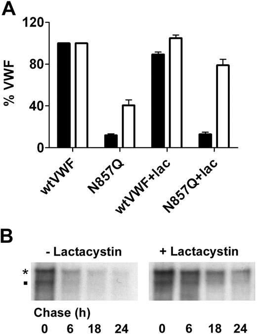 Figure 5. Loss of glycosylation at N857 causes intracellular degradation by the proteasome. (A) Wild-type VWF and VWF-N857Q were expressed in the absence or presence of 10μM Lactacystin and expression analyzed by VWF ELISA Secreted media (■) and cell lysate (□). (B) HEK293T cells transfected with VWF-N857Q and subjected to pulse chase analysis in the absence or presence of 10μM Lactacystin. Cell lysates were immunoprecipitated and analyzed as described in “Methods.” *: Pro-VWF, ■: mature VWF.