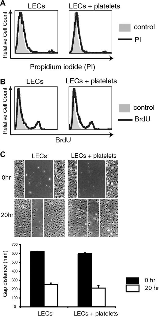Figure 6. Platelets do not affect LEC viability, proliferation, or migration in vitro.(A) Overnight culture of platelets with LECs does not affect endothelial cell viability measured by nuclear uptake of propidium iodide. Control indicates cells not treated with propidium iodide. (B) Overnight culture of platelets with LECs does not affect endothelial cell proliferation measured by uptake of BrdU after a 2-hour pulse. Control indicates cells not treated with BrdU. (C) Culture of platelets with LECs does not alter migration in a scratch assay. N = 3 for each group. Error bars indicate SD.