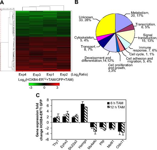 Figure 2. Identification of candidate HOXB4 target genes and validation of their expression. (A) Hierarchical cluster diagram and heat map of the 77 candidate probe sets selected from 4 biologically independent experiments using the log2-ratio of TAM-induced HOXB4-ERT2 versus TAM-induced GFP expression values observed within each of the 4 experiments. (B) Functional classification of the 77 probe sets using Gene Ontology annotations. Some probe sets were classified into more than 1 category; thus, the sum of all 11 groups is more than 77. (C) Quantitative real-time PCR confirmation of the expression change of the selected 8 candidate target genes from independent experiments with TAM treatment for 6 hours or 12 hours in HOXB4-ERT2 vector-transduced and GFP control-transduced Lin− BM cells.