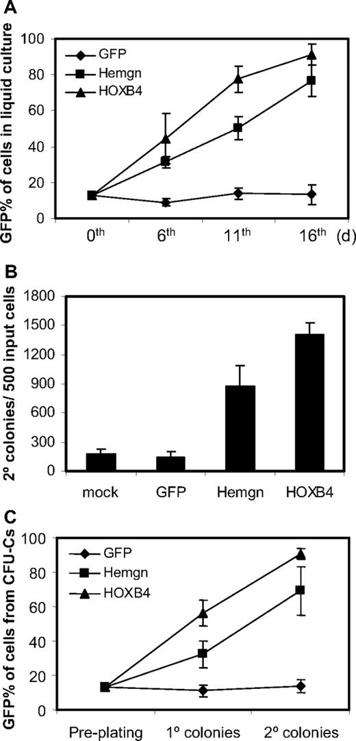 Figure 4. Growth advantage of Hemgn-overexpressing BM cells in culture and in serial CFU-C assays. (A) Flow cytometry measurements of the GFP/YFP percentages of transduced BM cells at 6th, 11th, and 16th day in liquid culture after transduction. Note that on day 0, dilutions were performed so that all samples had 13% transduced cells dilute with mock-transduced cells. (B) Secondary CFU-C colony numbers generated the transduced cells. The vector groups are shown below each histogram. (C) The GFP/YFP percentage of transduced cells (GFP/YFP) in primary and secondary CFU-C colonies, which were derived from the preplating 13% GFP/YFP-positive cell mixture. Three biologically independent experiments were performed, and the SD is shown in each panel.