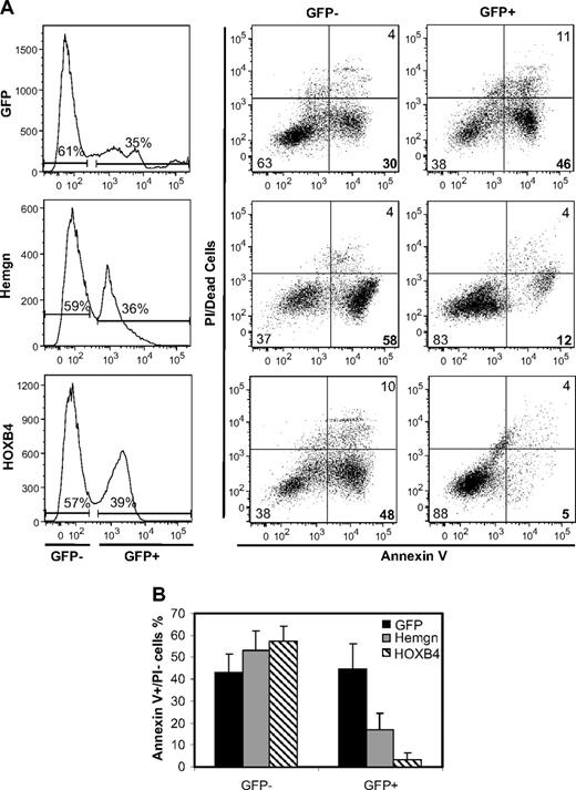 Figure 5. Inhibition of apoptosis in cells transduced with the Hemgn or the HOXB4 vector. (A) A representative experiment in which primary murine bone marrow cells were transduced with the indicated vectors, grown for 6 days in complete medium, washed, and then cultured for 16 hours in serum-deprived medium without cytokines to induce apoptosis. (Left panel) Gating for transduced cells (GFP/YFP+). The gated nontransduced cells serve as internal negative controls for transduction. Staining within each population for annexin V and PI is shown in middle and right column. (Middle column) Results for the nontransduced cells. (Right column) Gated, transduced cells. The percentage of apoptotic cells is indicated in the lower right quadrant for each sample. (B) Quantification and statistics of 3 biologically independent experiments showing the proportion of apoptotic cells for the 3 vectors and for the control, nontransduced cells in each sample.
