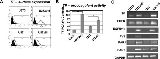 Figure 1. Up-regulation of TF, FVII, PAR1, and PAR2 in glioma cell lines expressing EGFRvIII oncogene. (A) TF antigen expression on the surface of 2 different GBM cell lines (U373 and U87) and their sublines transfected with EGFRvIII (fluorescence-activated cell sorting). (B) TF procoagulant activity assay (TF PCA) indicating the increased ability of EGFRvIII-transfected GBM cells to generate factor Xa (calibrated to the standard rabbit brain thromboplastin). Control (%) indicates the value obtained for U373vIII cells, which was the most procoagulant cell line in this panel (U373 and U373vIII, **P < .005; and U87 and U87vIII, *P < .05; N = 4). (C) The impact of EGFRvIII on the simultaneous expression of TF, PAR1, PAR2, and FVII mRNA in 2 different GBM cell lines U373 and U87 (reverse-transcribed polymerase chain reaction; “Experimental procedures” and supplemental data).