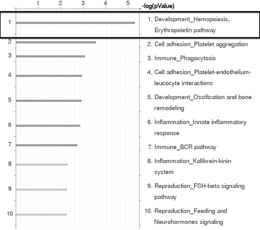 Figure 4. GeneGO Pathway analysis of microarray results. GeneGo Pathway analysis of the RNA expression profiling results obtained by microarray indicates that the erythropoietin pathway in hematopoiesis development is the most highly affected pathway in KLS-EML cells that overexpress HOXB4.